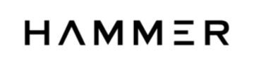 Hammer Logo
